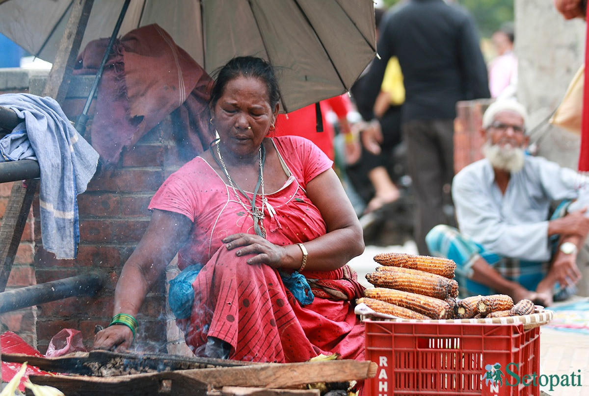 आजका तस्बिर- भदौ ७