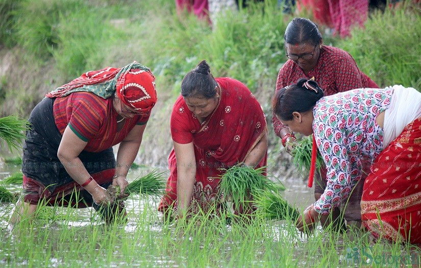 फाइल तस्वीर