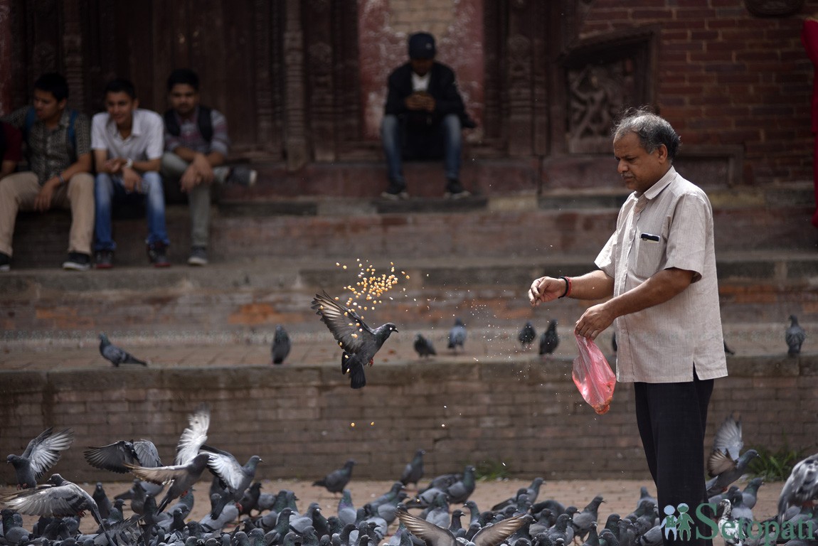 आजका तस्बिरहरू- असार १३