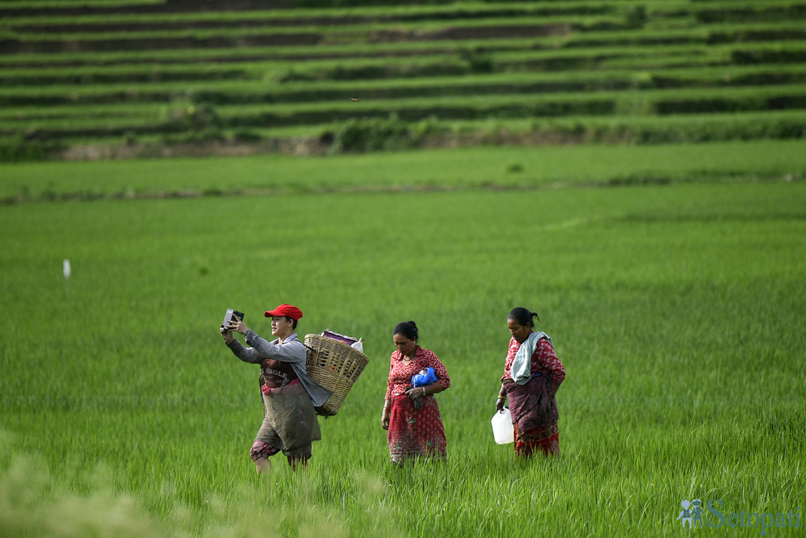 आजका तस्बिरहरू साउन २५