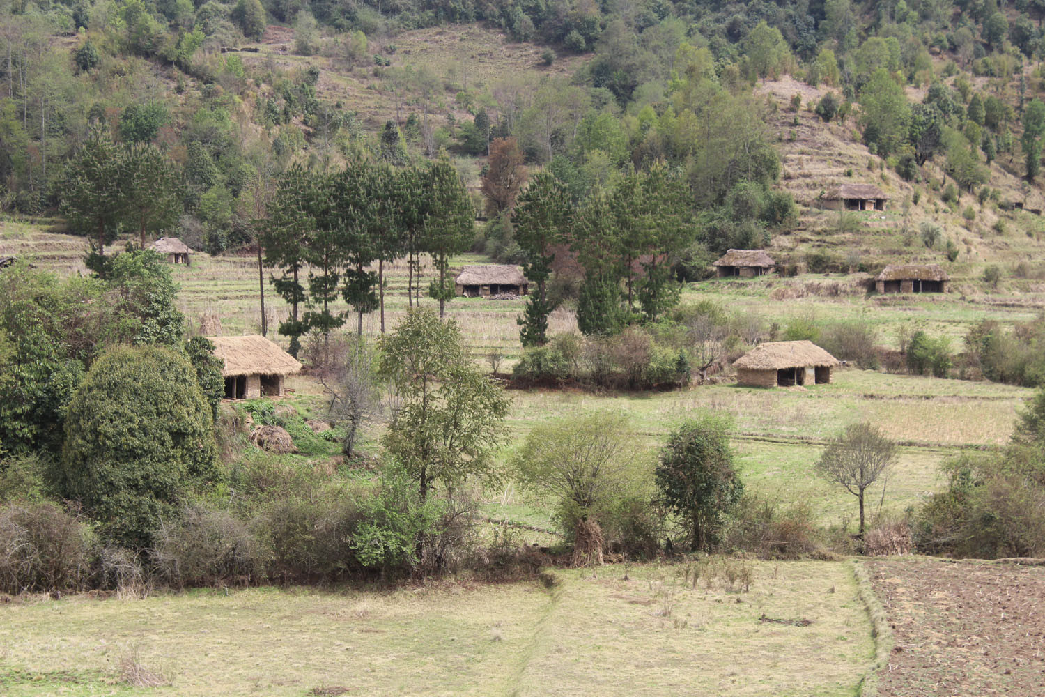 आजका तस्विरहरू असोज १०