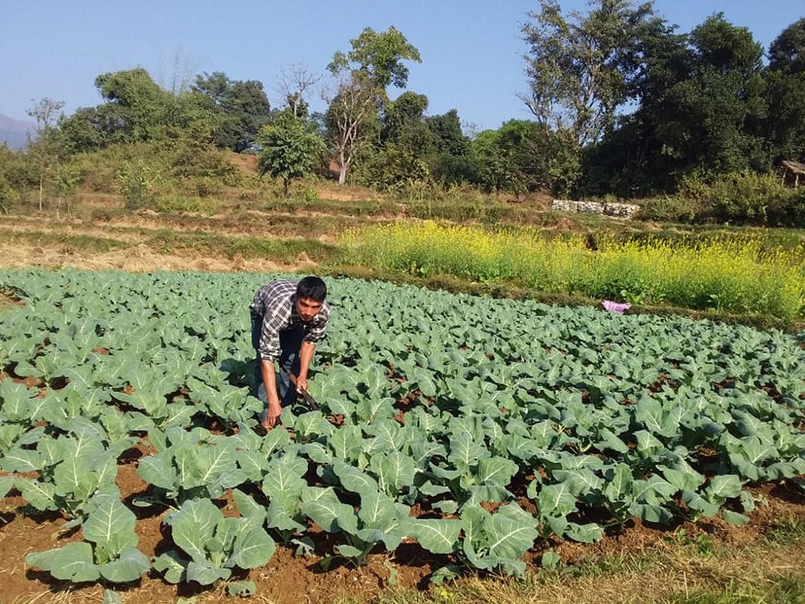 आजका तस्बिरहरू मंसिर ११