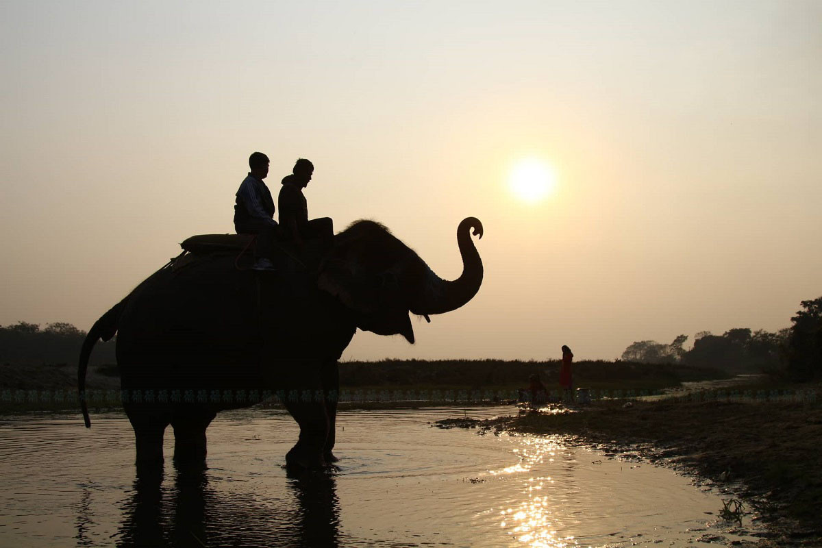 आजका तस्बिरहरू पुस ११