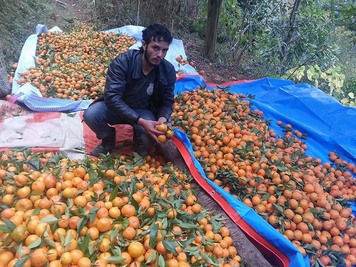 आजका तस्बिरहरू पुस २०