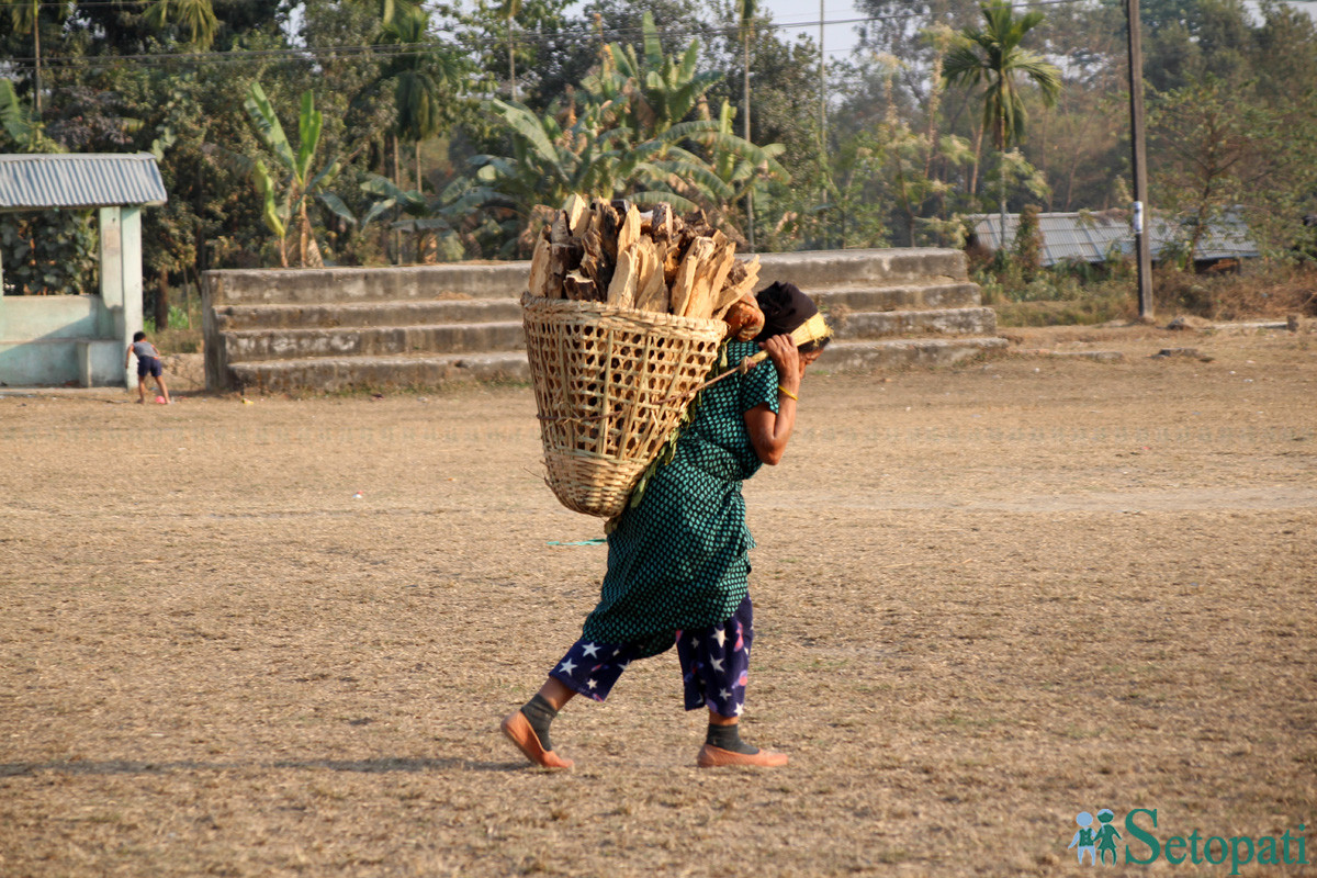 आजका तस्बिरहरू माघ २०