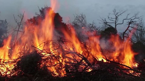 प्रतिकात्मक तस्वीर