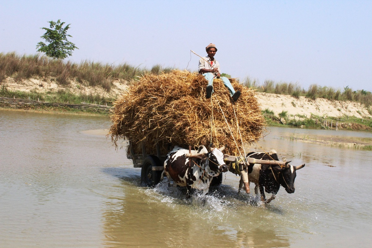 आजका तस्बिरहरू वैशाख १०