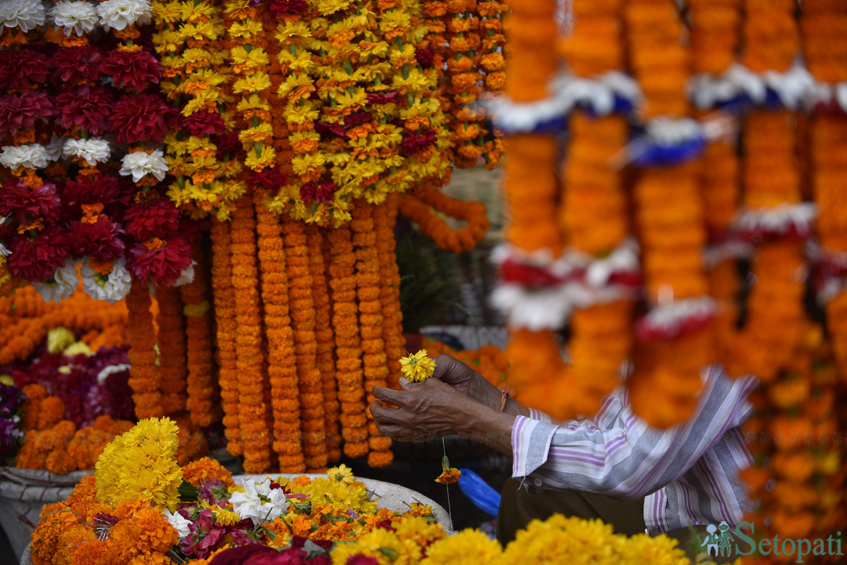 आजका तस्बिरहरू असार १८