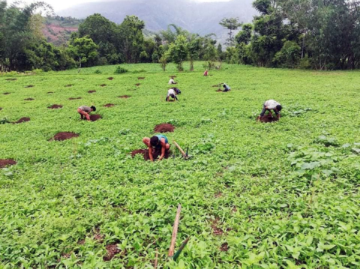 आजका तस्बिरहरू असार २०