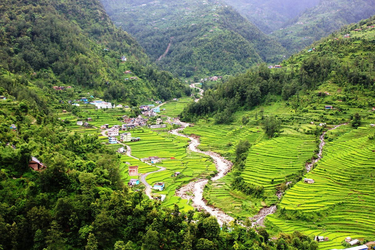 आजका तस्बिरहरू साउन १२