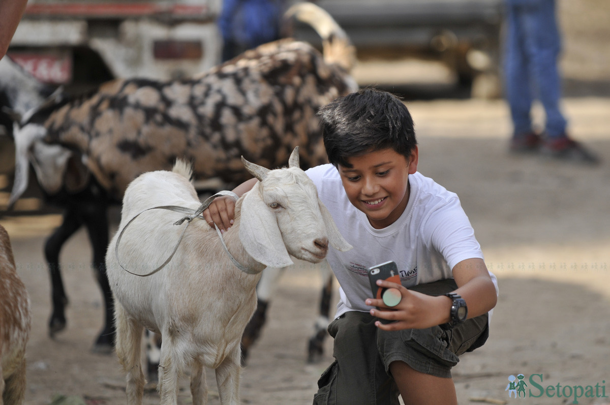 आजका तस्बिरहरू साउन २६