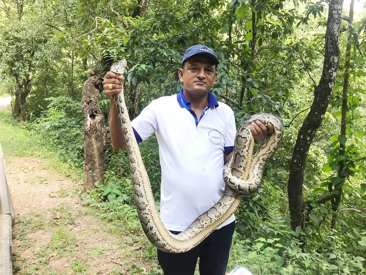 आजका तस्बिरहरू भदौ १२