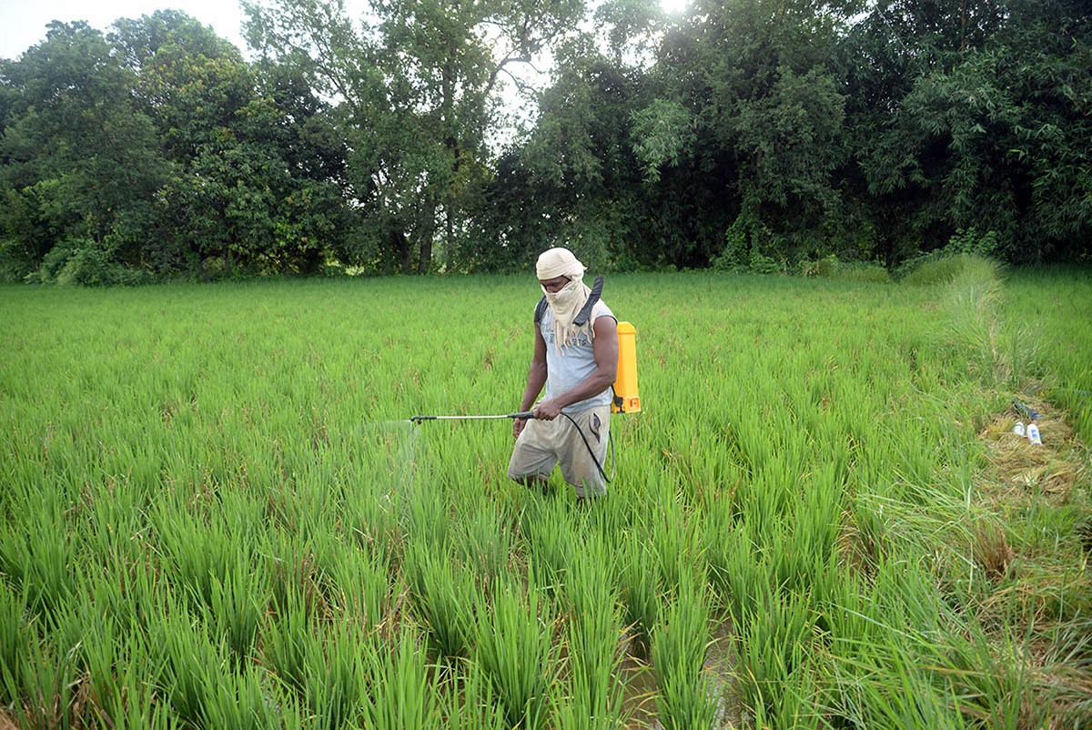 आजका तस्बिर भदौ २२