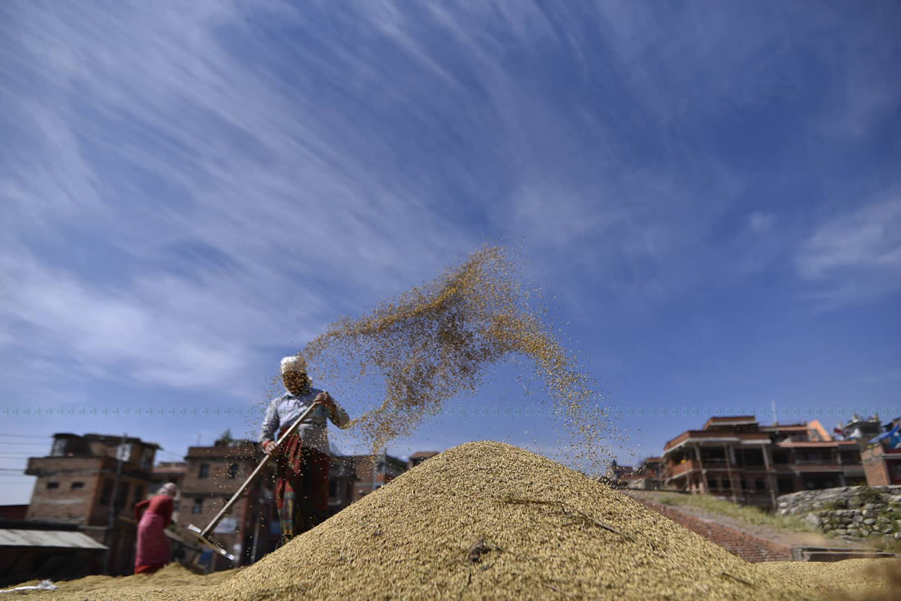 फाइल तस्बिर।