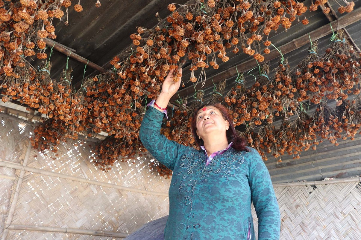 आजका तस्बिर माघ २२