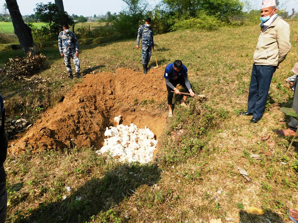 आजका तस्बिरहरू फागुन १२