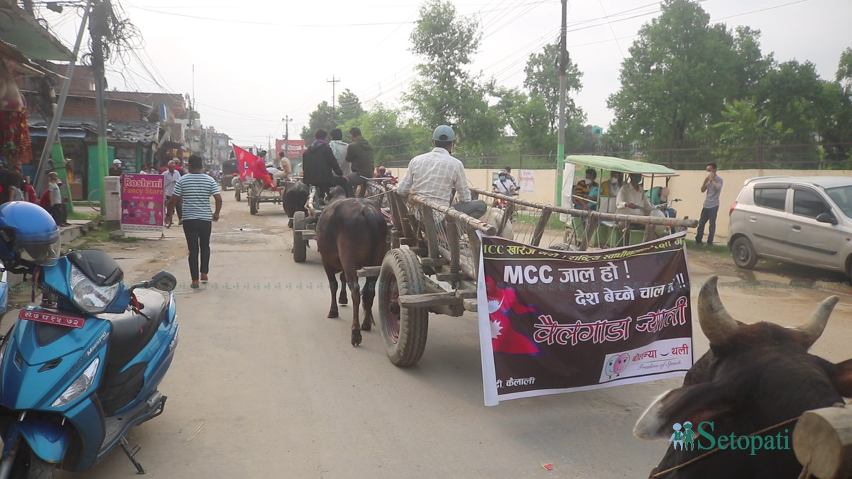 आइतबार धनगढीमा निकालियो बयलगाढा र्‍याली। तस्बिर: सविता बुढा/धनगढी