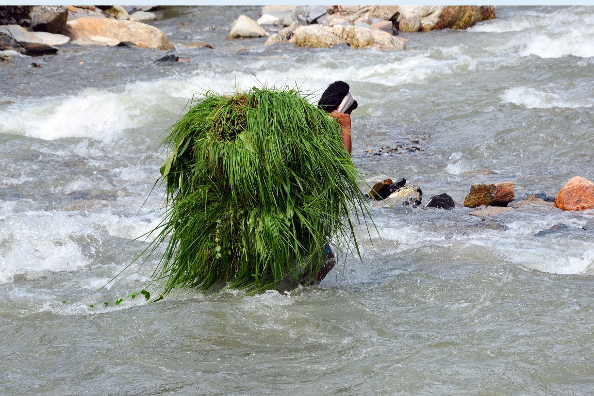 आजका तस्बिरहरू असार ३०