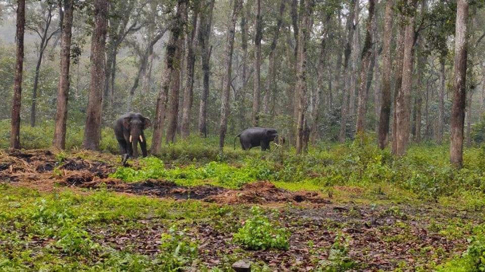 फाइल तस्बिर।