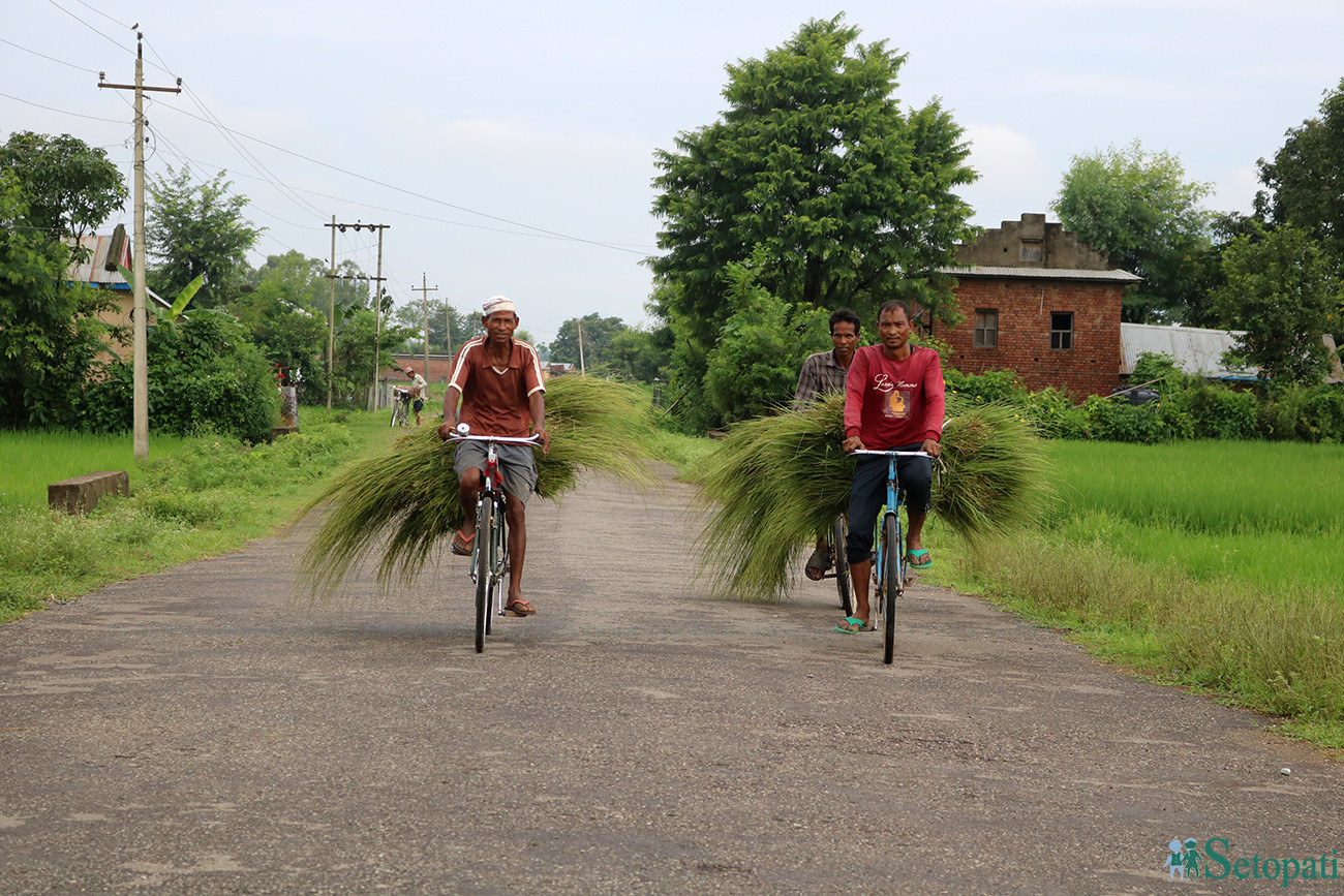 आजका तस्बिरहरू- साउन १३