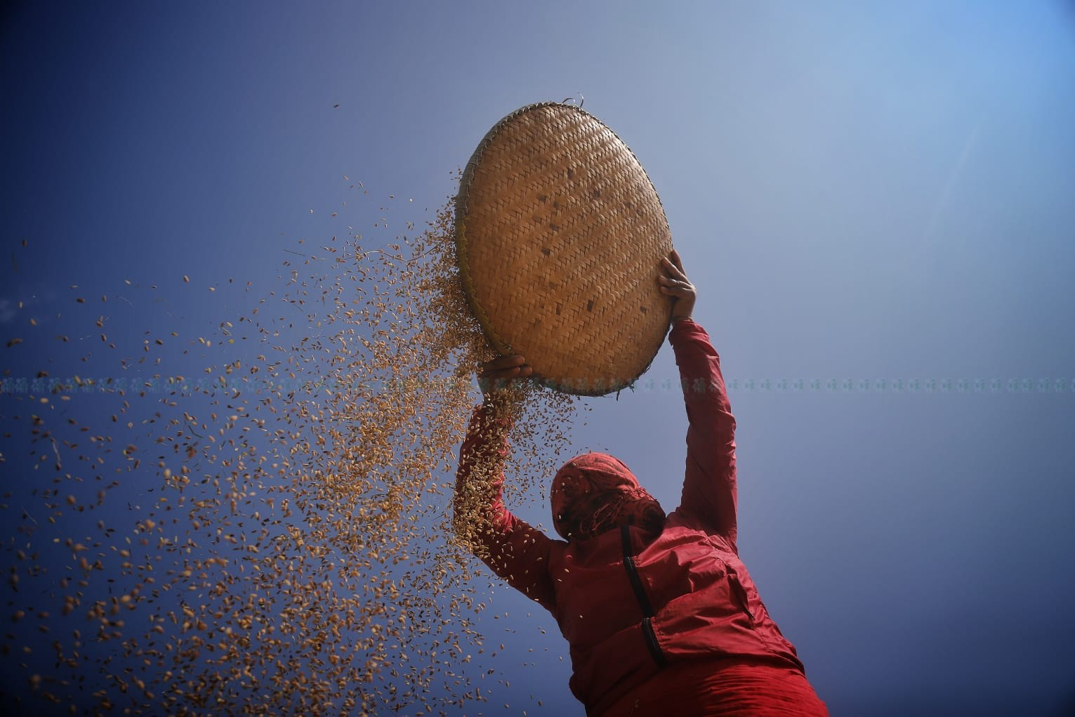 आजका तस्बिर कात्तिक ६