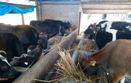 फाइल।