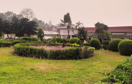 फाइल