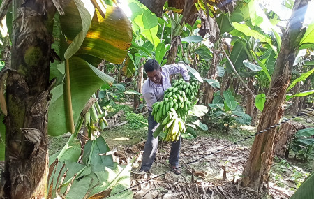 केराघारीमा रोहितप्रसाद पासी। तस्बिर: भगवती पाण्डे/सेतोपाटी