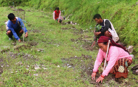 बाँझो जग्गामा कफीका बिरुवा रोप्दै पोखरा–१६, अर्मलाकोटवासी । सामूहिक रुपमा उनीहरुले यस पटक २०० कफीका बिरुवा रोपेका छन् । तस्बिरः हरि बाँस्तोला/रासस