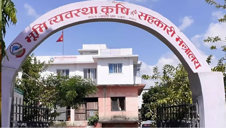 फाइल।