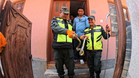 तस्बिर स्रोत: ललितपुर महानगर, नगर प्रहरी कार्यालय