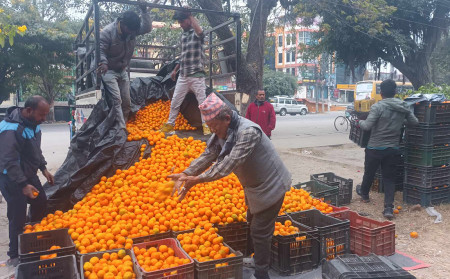 फाइल।