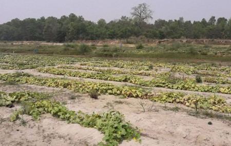 फाइल।