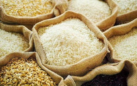 फाइल तस्बिर।