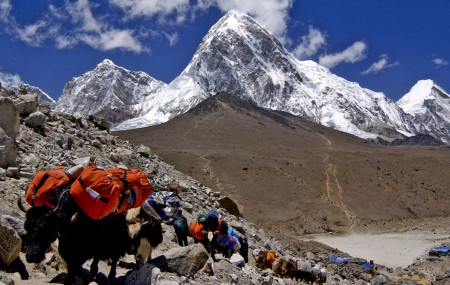 तस्बिर स्रोतः नेपाल पर्यटन बोर्ड