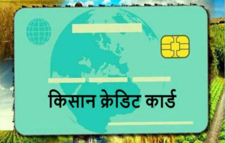 प्रतीकात्मक तस्बिर।
