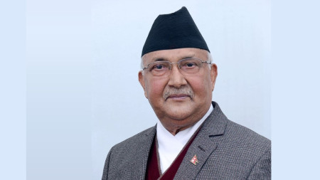 फाइल तस्बिर।