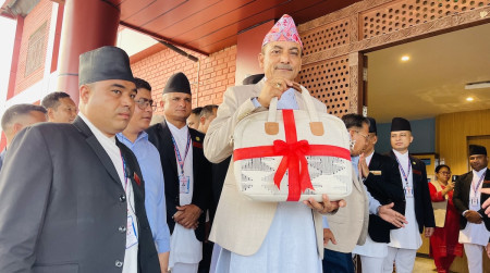 यस्तो छ सातै प्रदेशको बजेट