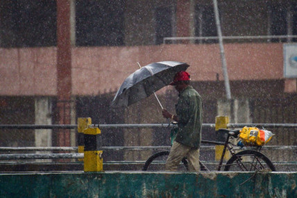 फाइल तस्बिर।