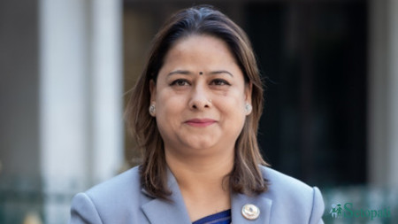फाइल
