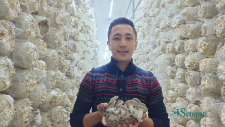 सार्थक साखः। तस्बिरः सुनिता सिटौला/सेतोपाटी