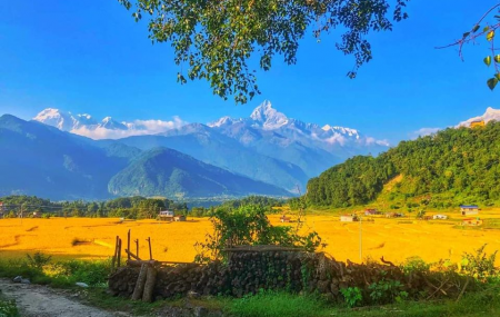 पुरनचौर फाँटबाट देखिएको माछापुच्छ्रे अन्नपूर्ण लगायतका हिमाल। तस्बीर : श्रीधर पौडेल।