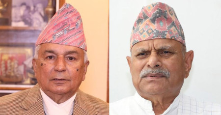 राष्ट्रपति पौडेलको पछिल्लो कदममा के भने प्रथम राष्ट्रपतिले?