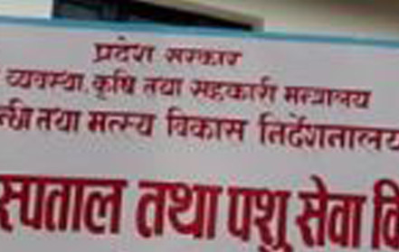 फाइल।