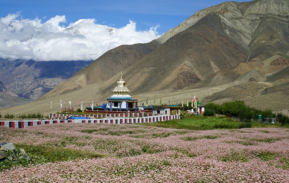 आजका तस्बिर- भदौ ३०