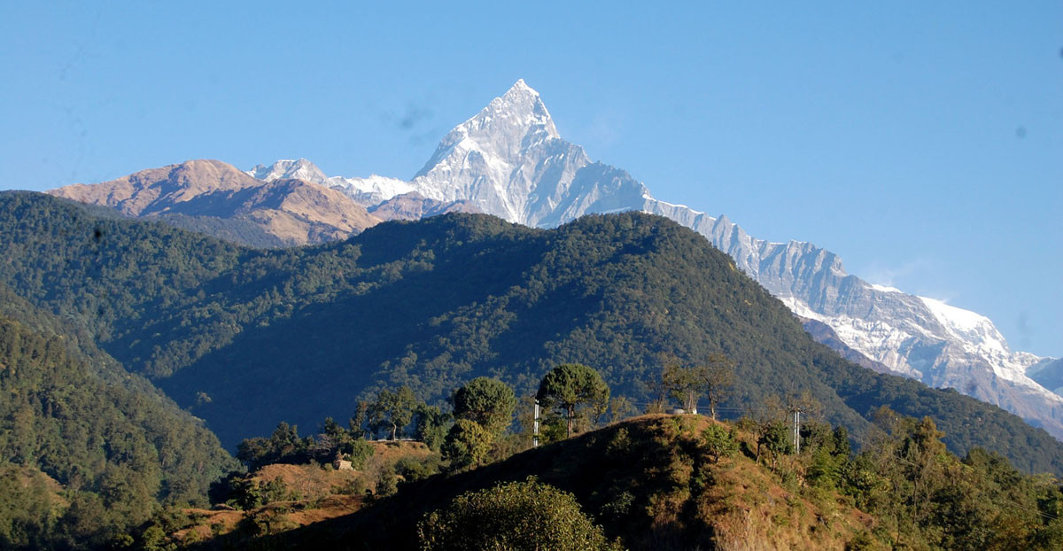 आजका तस्बिरहरू मंसिर १२