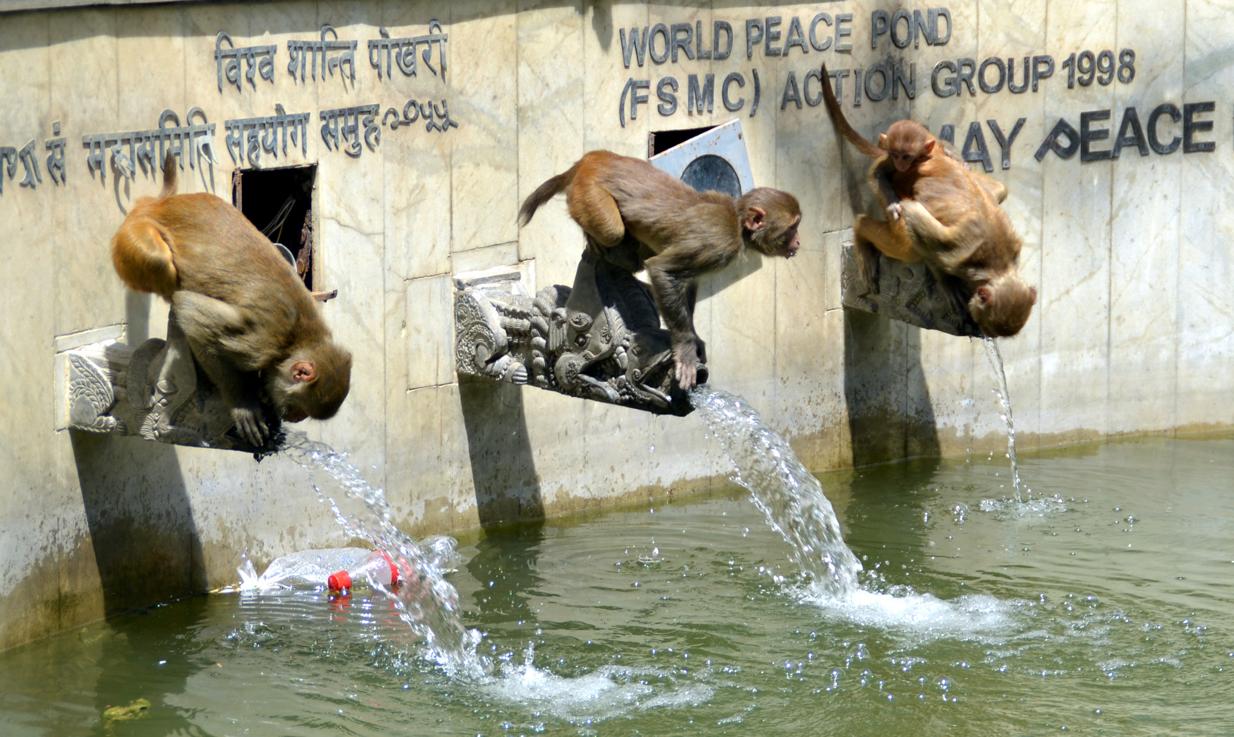 आजका तस्बिरहरू साउन ३०