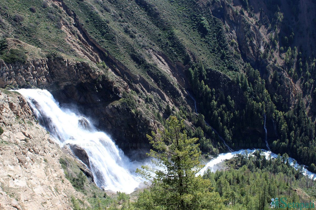 आजका तस्बिरहरू- असार २०