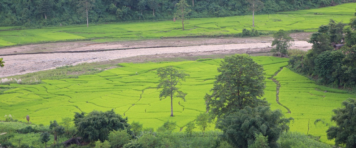 आजका तस्बिर- असोज १४