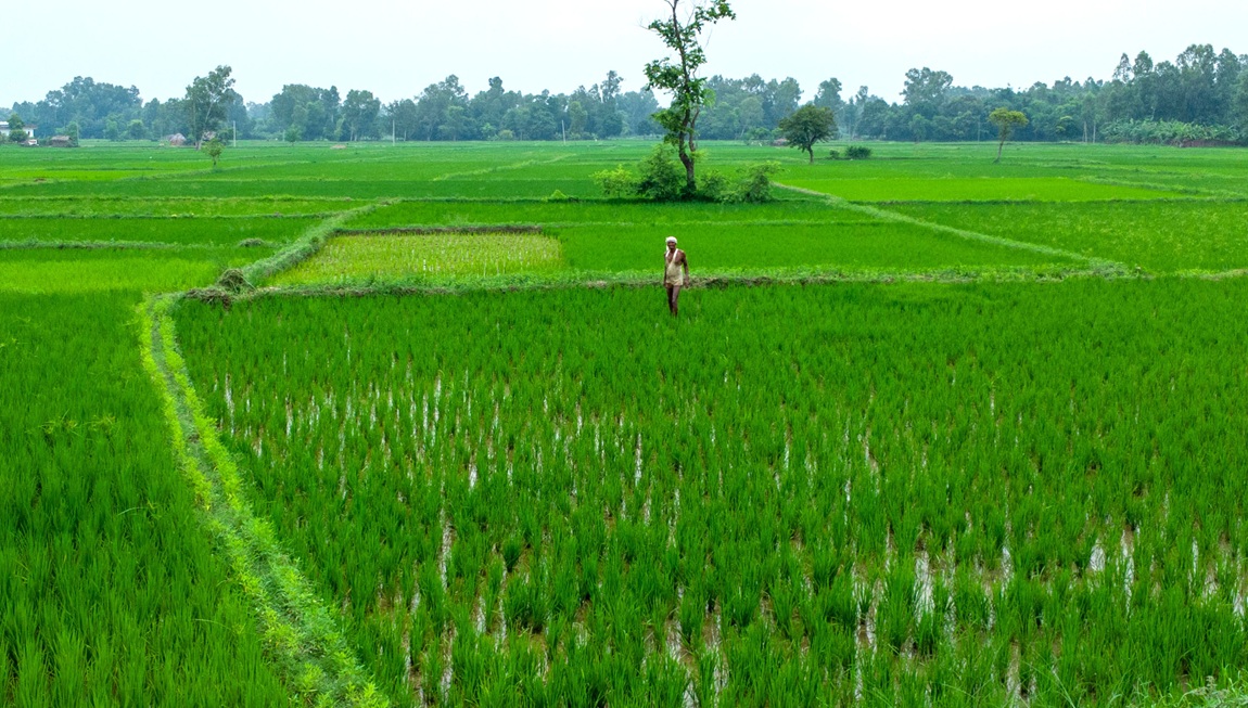 आजका तस्बिर- साउन २५